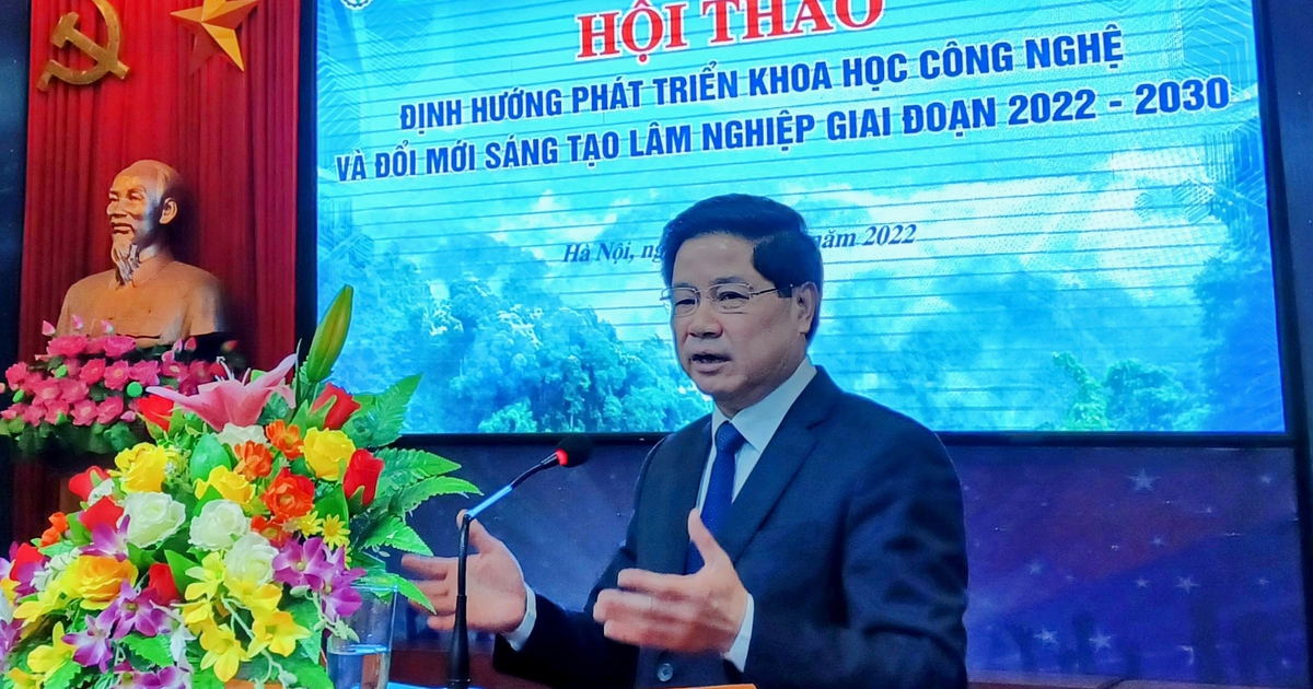 'Nhờ có khoa học công nghệ thì ngành lâm nghiệp mới phát triển mạnh'