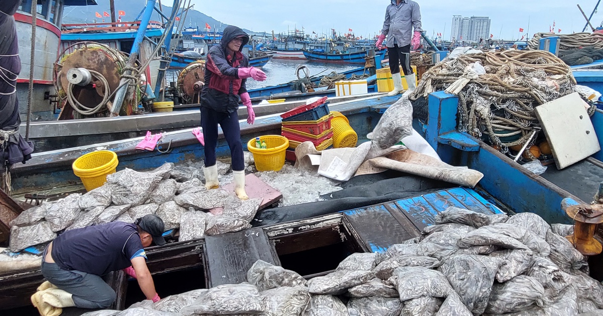 Thành lập Ban chỉ đạo tiền phương ứng phó bão Noru tại TP.Đà Nẵng