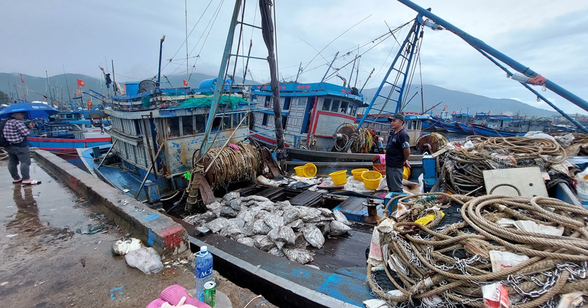 Bão Noru: Truy trách nhiệm hình sự chủ tàu nếu để ngư dân ở lại tàu
