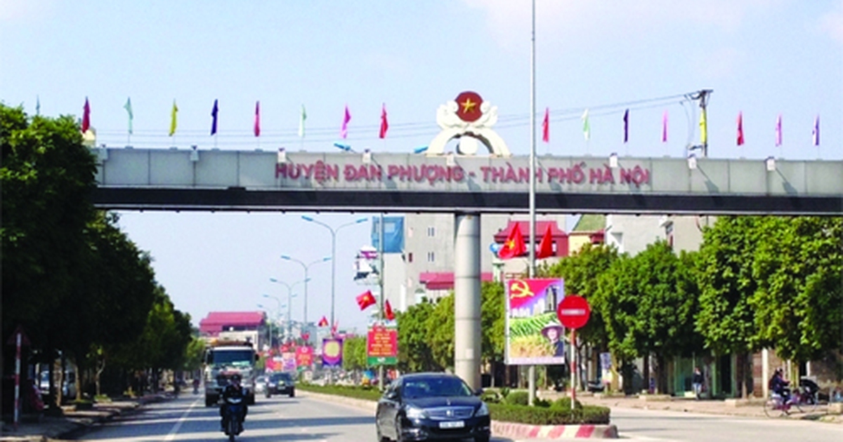 Hà Nội: Phát hiện hàng loạt sai phạm về đấu giá đất tại H.Đan Phượng