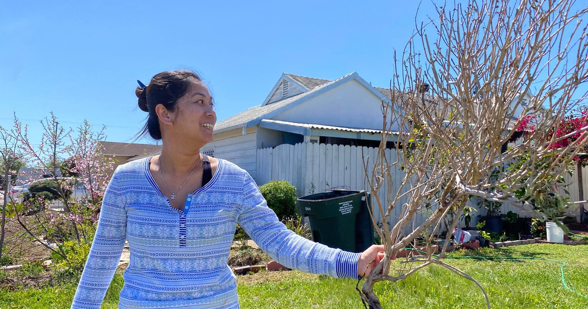 Việt kiều Mỹ: Trú ẩn suốt trong nhà chống dịch Covid-19, chuyện chưa từng có