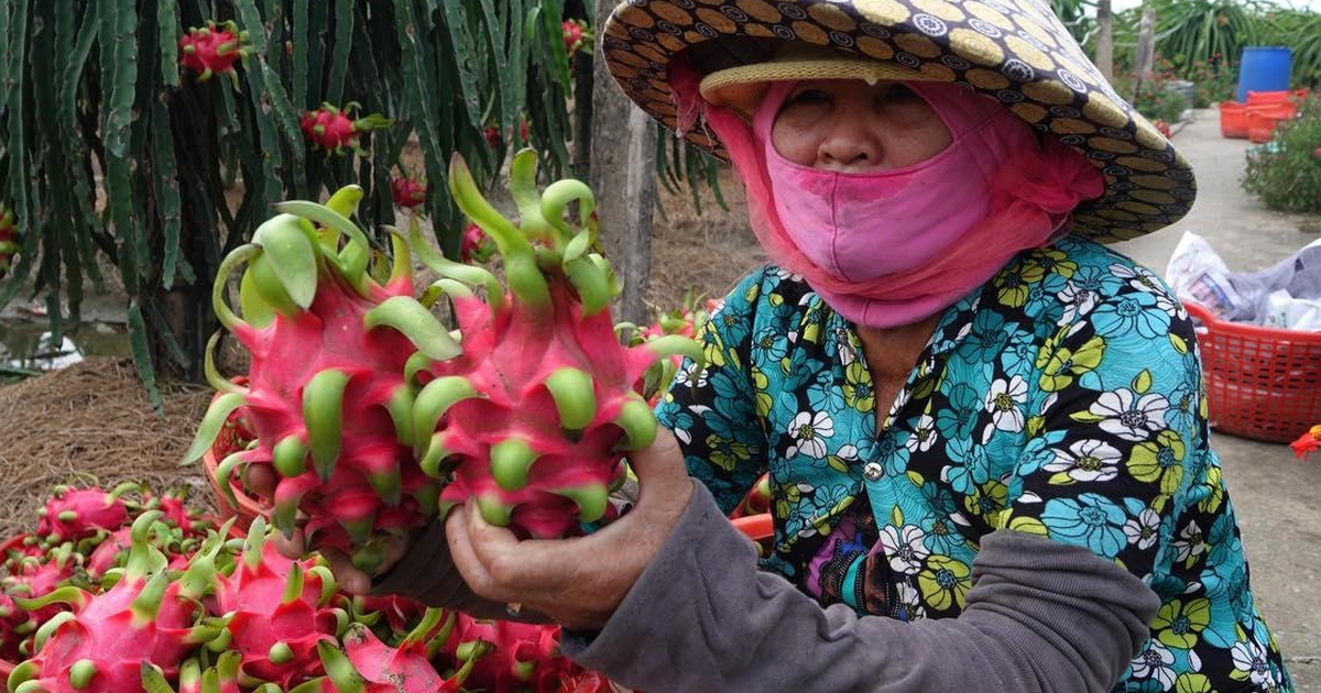 Tiki kết hợp Sở Công thương TP.HCM bán nông sản không lợi nhuận hỗ trợ bà con