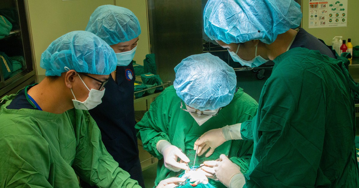 Cứ 500 bé chào đời thì có 1 em dị tật khe hở môi - vòm miệng