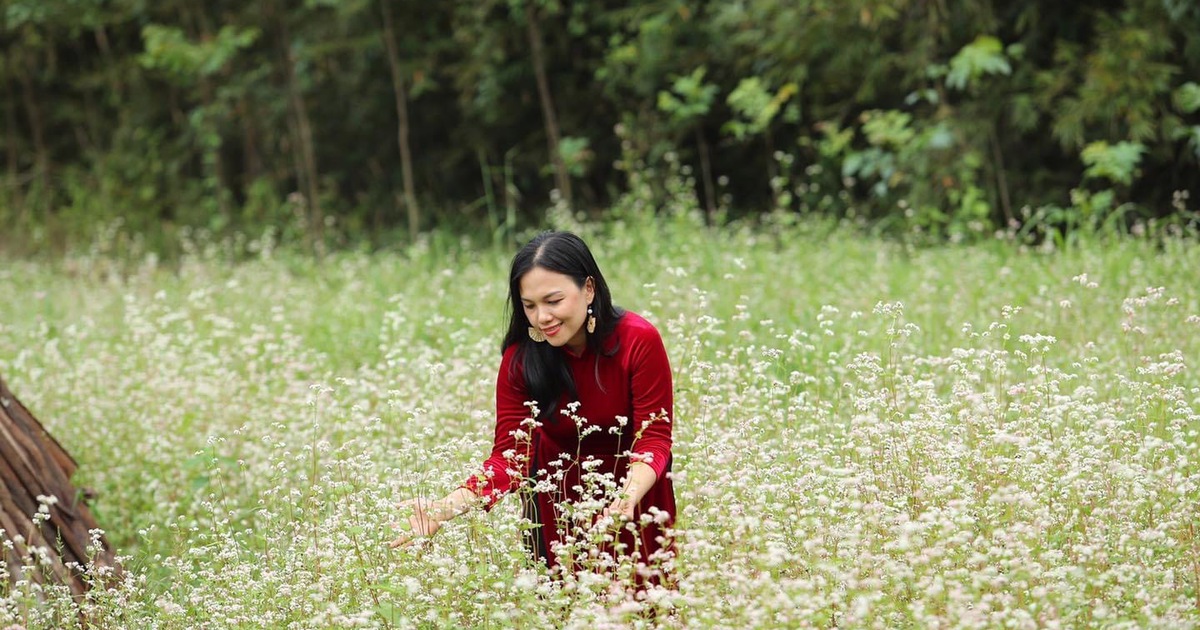 'Sống ảo' những ngày tết trên đồng hoa tam giác mạch gần TP.HCM