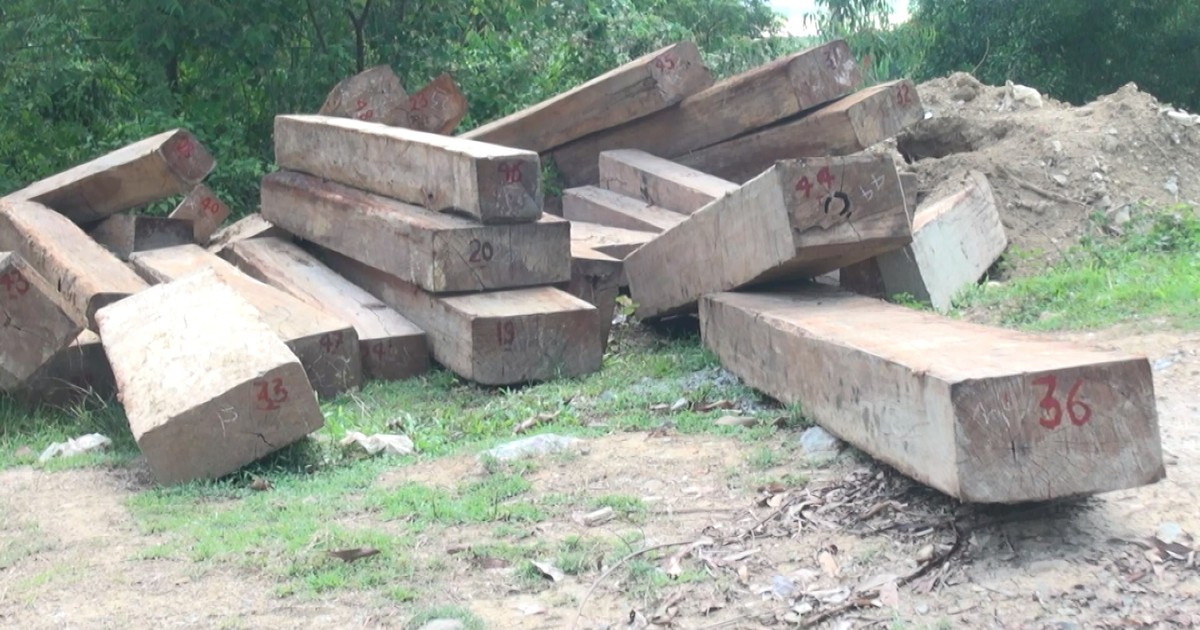 Phú Yên: Phát hiện nhiều vụ vận chuyển gỗ lậu
