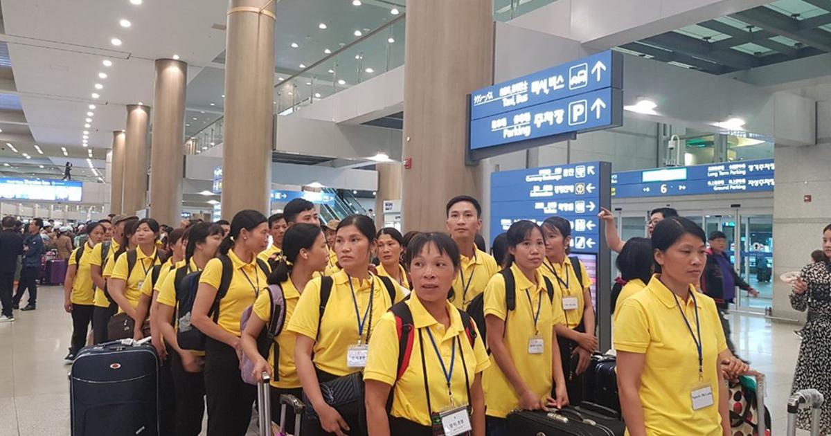 thanhnien.vn