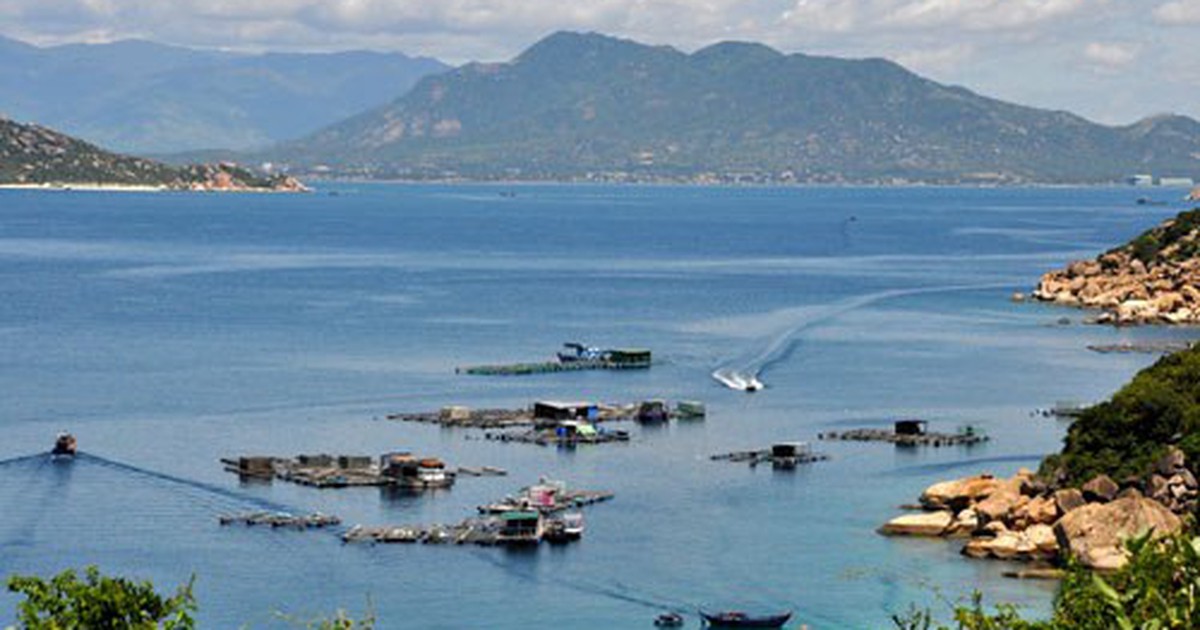 thanhnien.vn