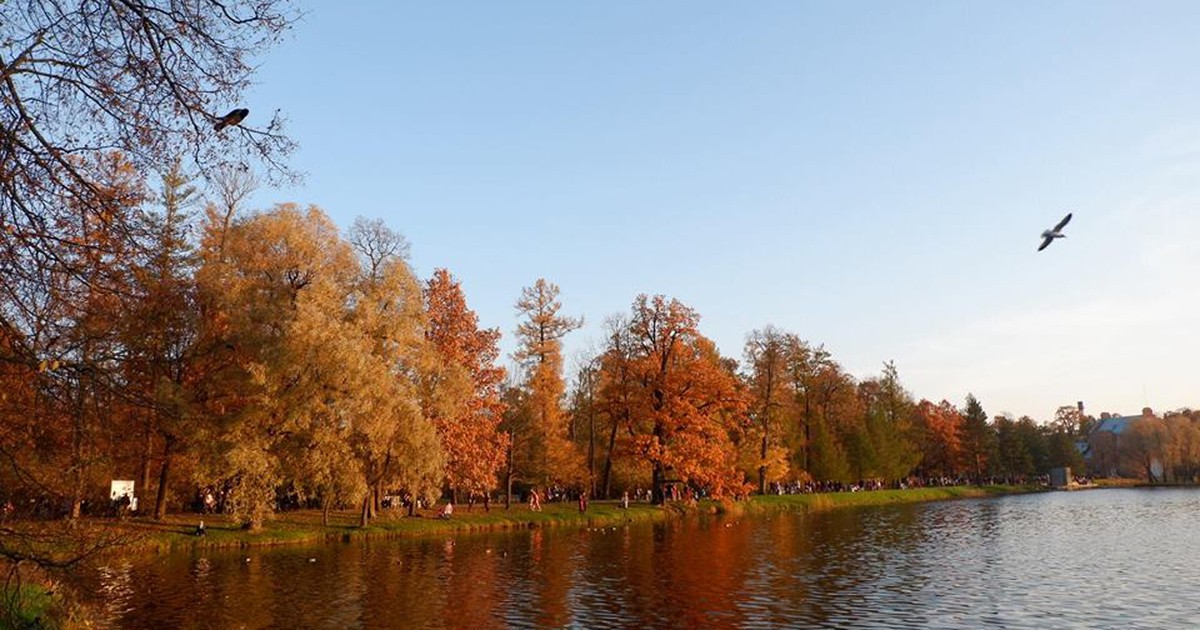 Cung điện mùa thu nước Nga đẹp mê hồn