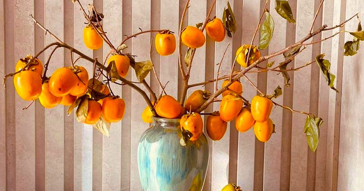 Cành hồng trĩu quả thành 'trend' khiến chị em phát sốt