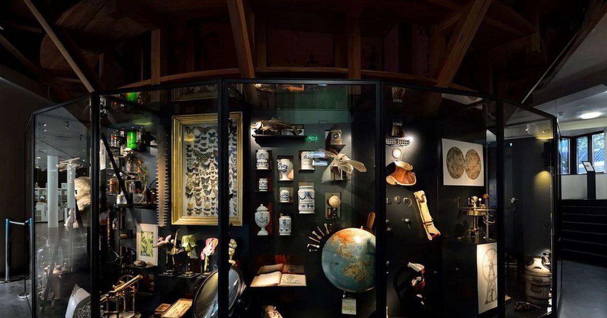 Chất độc chết người bị trộm khỏi bảo tàng Hà Lan