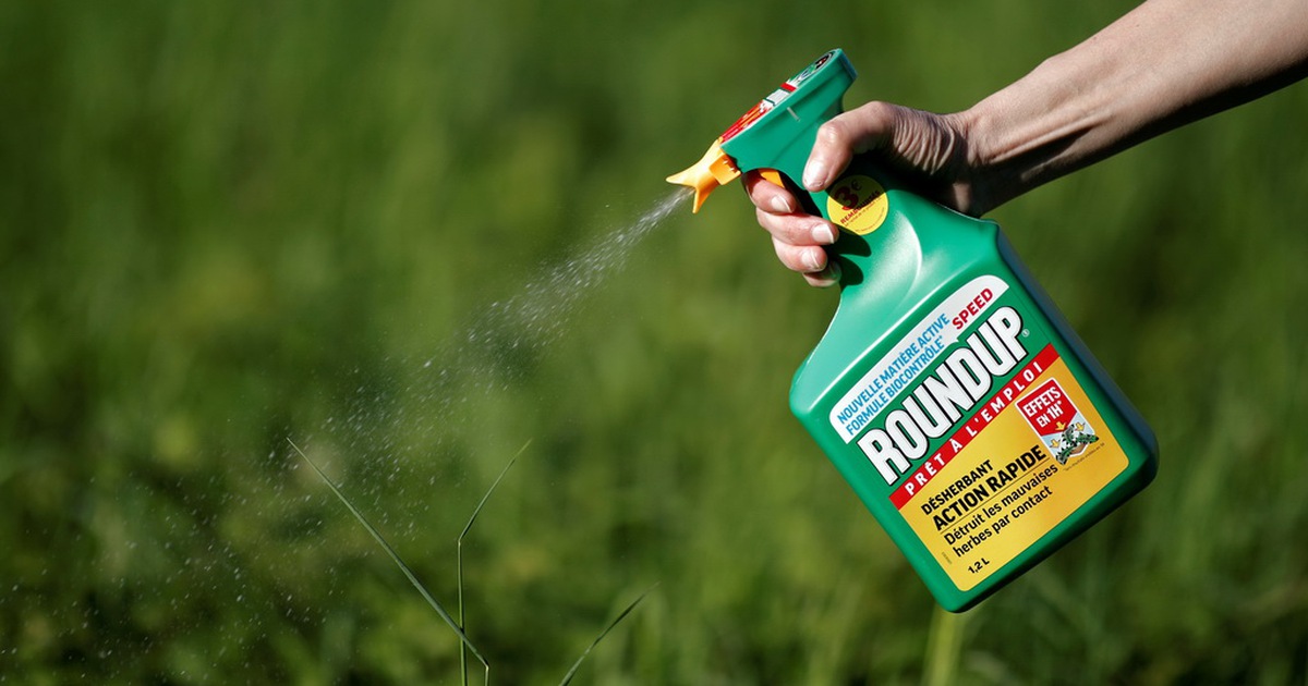 Monsanto, hãng sản xuất chất da cam, phải bồi thường 2 tỉ USD vì thuốc diệt cỏ gây ung thư