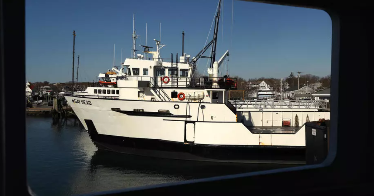 Hoạt động phà ở đông bắc Mỹ bị gián đoạn vì tin tặc