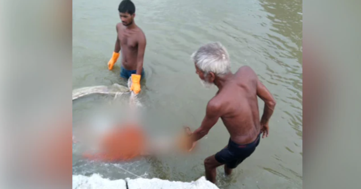 Thi thể nạn nhân Covid-19 trôi khỏi mồ khi nước dâng trên sông Hằng