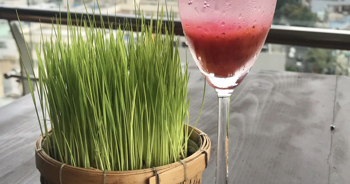 Ăn ngon mùa Covid tăng sức đề kháng