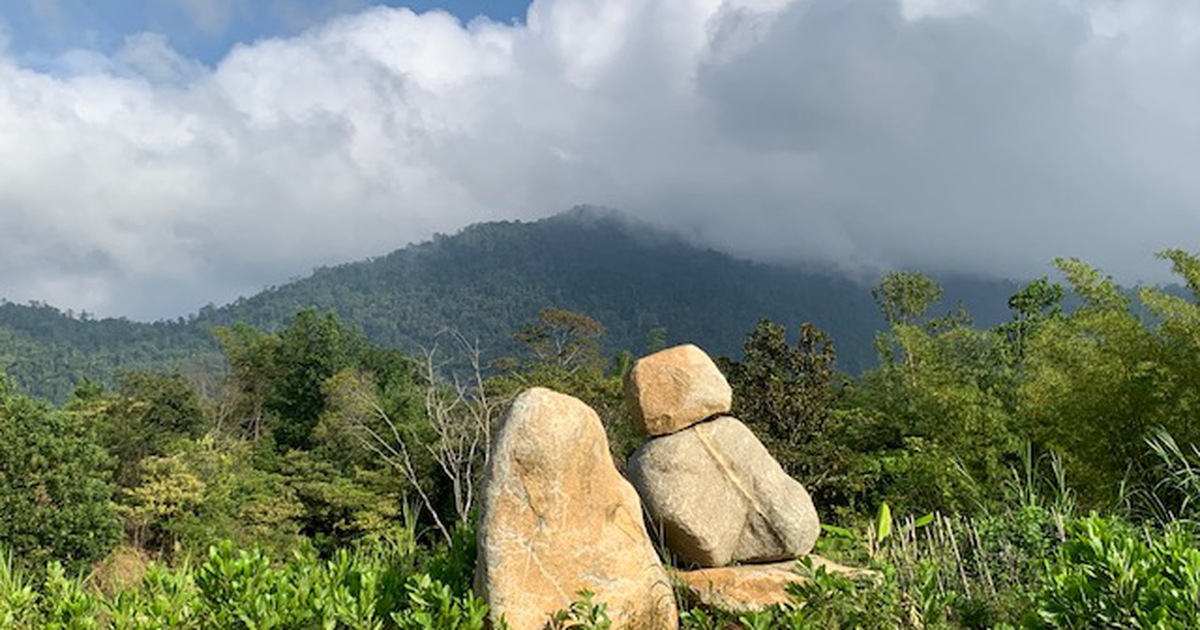 thanhnien.vn