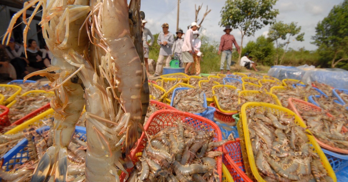 Trung Quốc không còn đình chỉ doanh nghiệp có hàng dương tính SARS-CoV-2