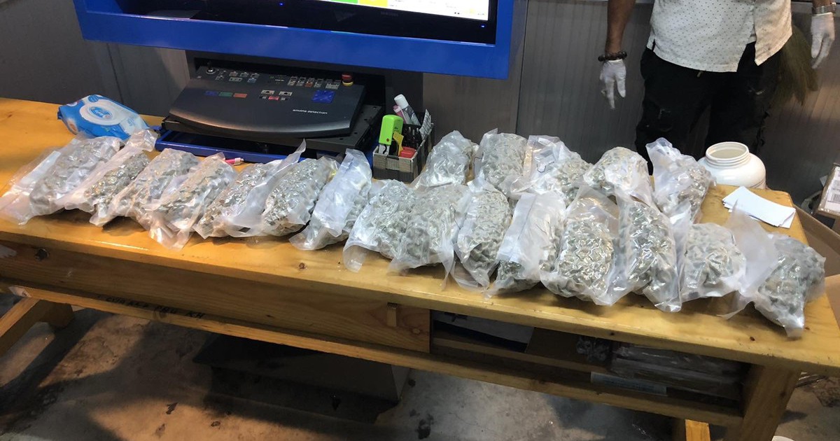 TP.HCM: Tiếp tục bắt giữ lô hàng cần sa tại sân bay Tân Sơn Nhất