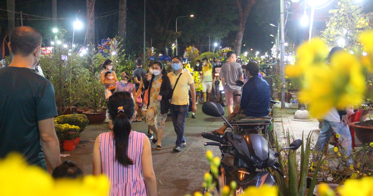 Chợ hoa công viên Gia Định, TP.HCM: Giá tăng, khách mua đông nghịt tối 28 tháng Chạp