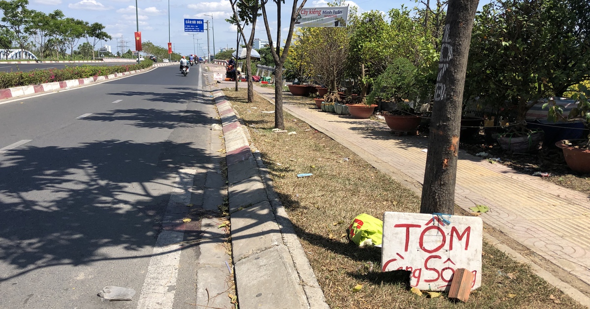 TP.HCM: Điều tra vụ một người chết ngày mùng 1 tết trên đường Phạm Văn Đồng