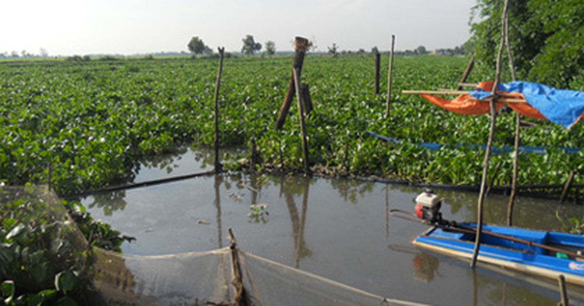 Lật ghe khi đi câu cá, một người chết đuối