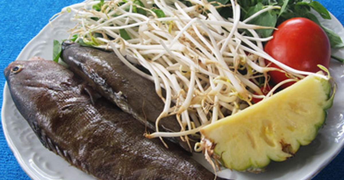 Cá mú rạn
