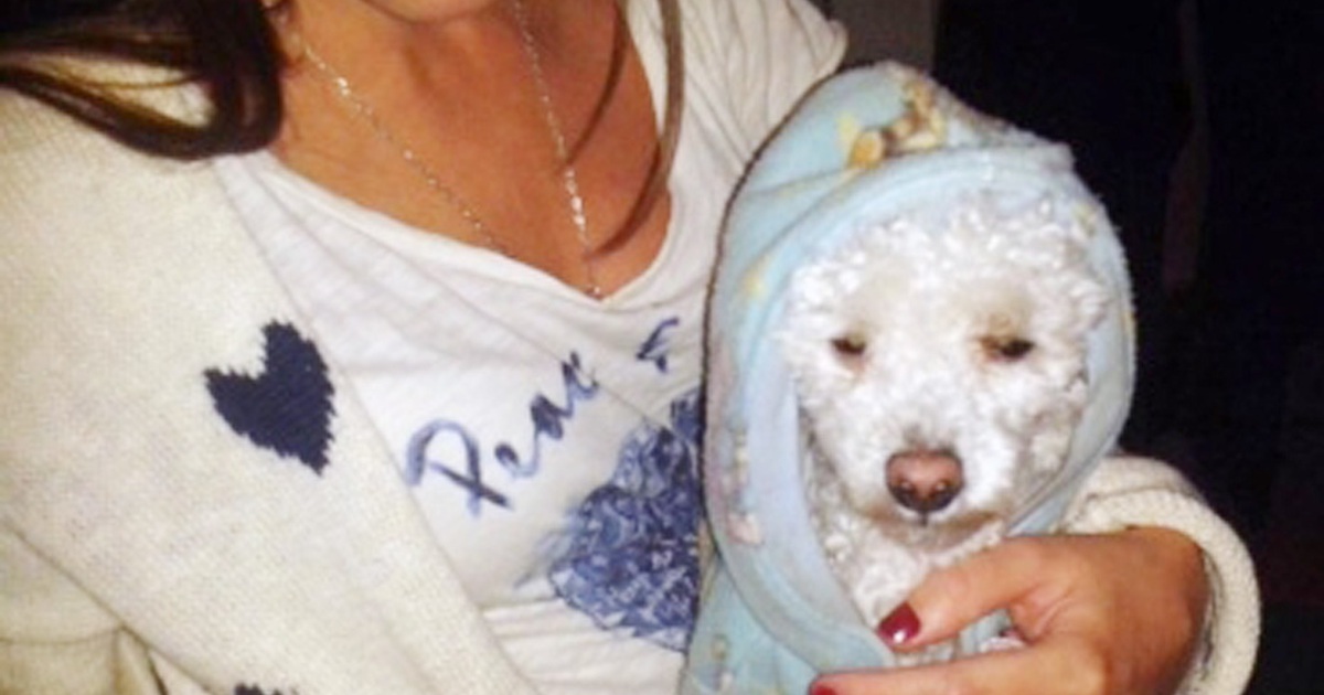 Trộm viếng gia đình giáo hoàng