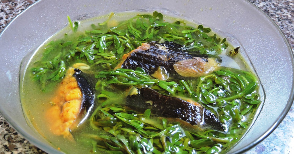 Cá trê rau đắng