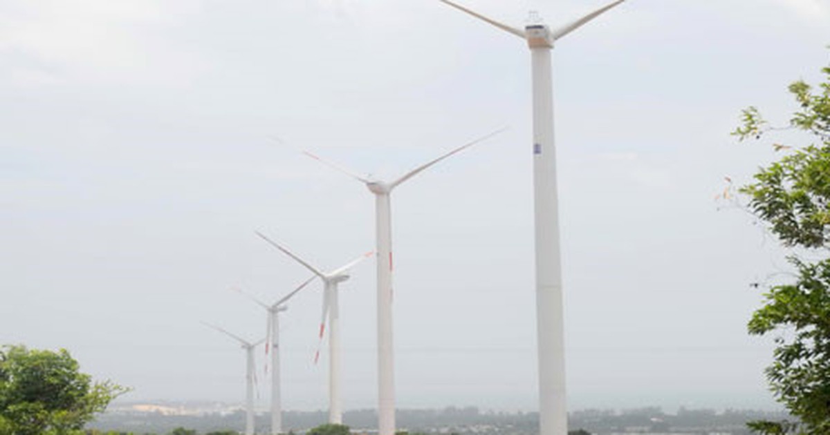 Nhà máy điện gió Bạc Liêu chính thức hoạt động