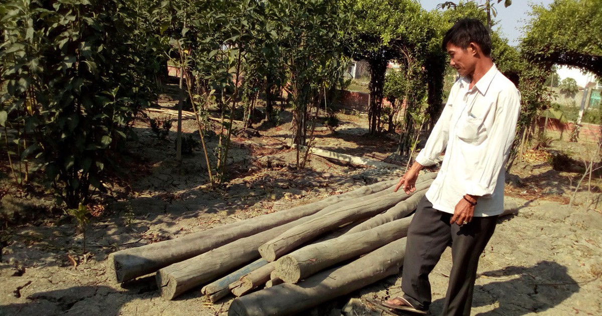 ‘Vụ án Chòi vịt’: Chủ đất cà phê Xin Chào không phạm tội