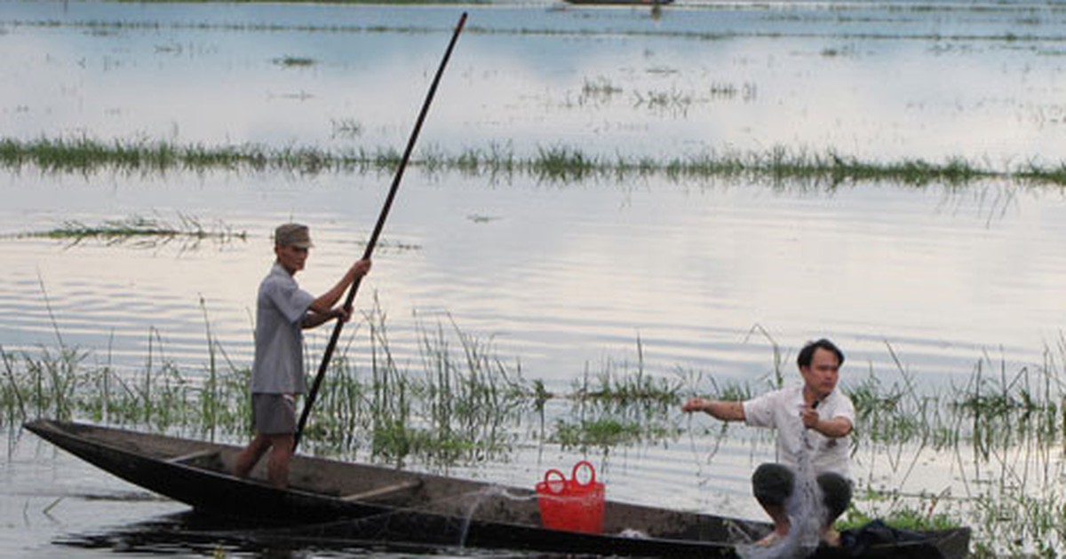 Thăm lưới mùa nước nổi, hốt hoảng thấy 2 thi thể trên chiếc xuồng giữa đồng trống