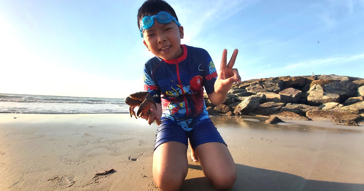 Du xuân non cao, đi về biển rộng