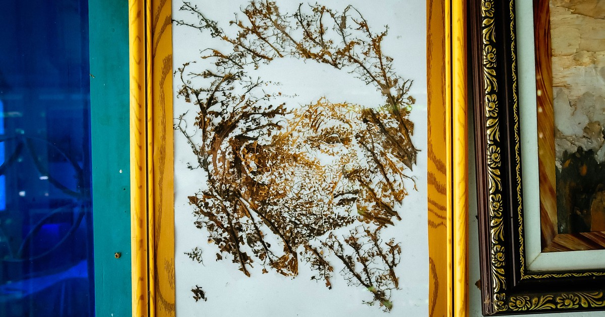 Gặp người 'vẽ' chân dung Tổng thống Donald Trump bằng sen độc đáo, gây sốt mạng