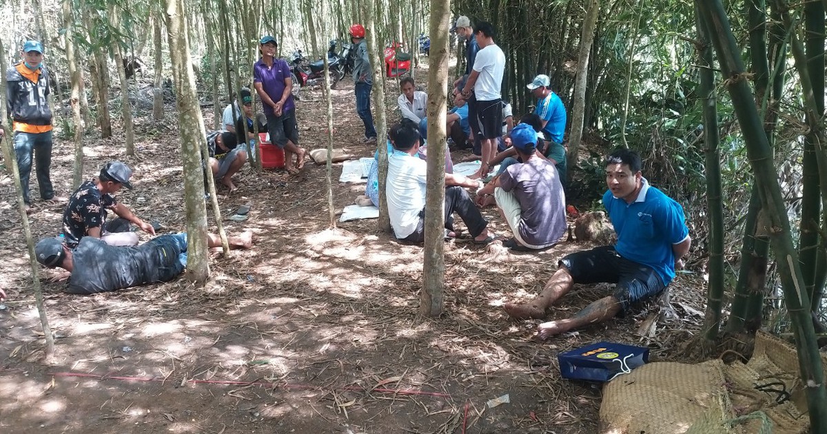 Triệt phá ổ đánh bạc trong vườn bạch đàn ngày giáp tết, bắt giữ 29 người