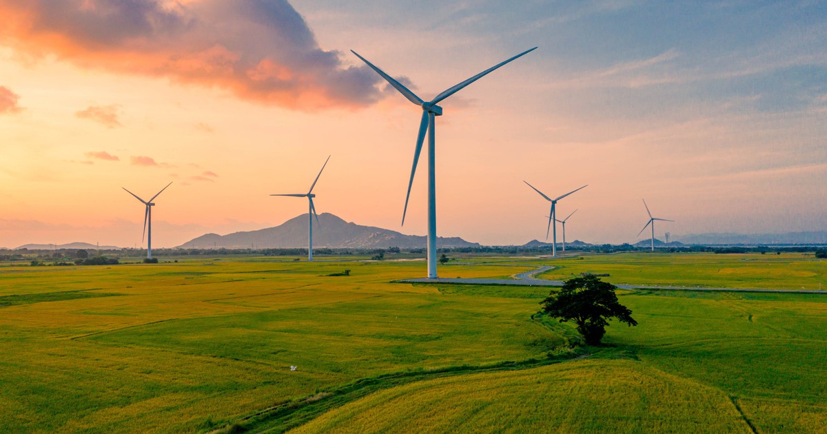 Những mảng màu kỳ diệu trên cánh đồng điện gió Phan Rang