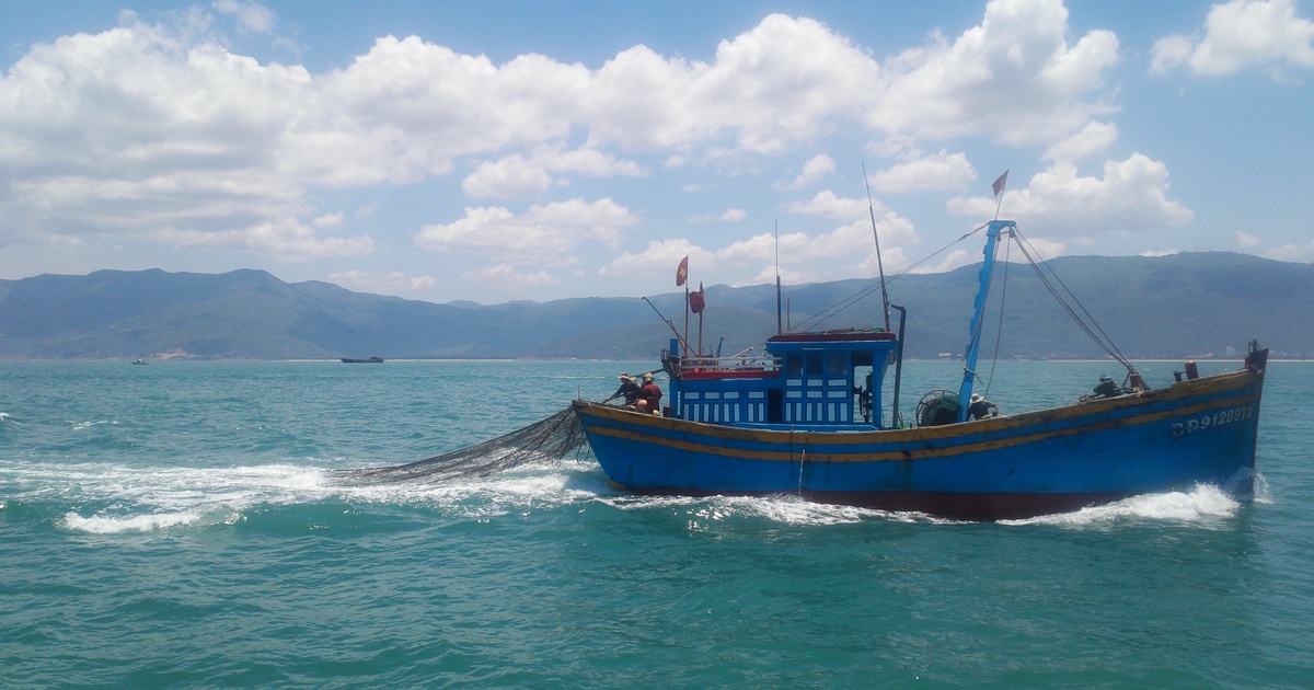 Thuyền trưởng tàu cá bị liệt nửa người khi đang đánh bắt trên biển