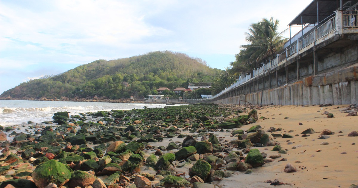 Kỳ lạ bãi cát vàng tuyệt đẹp 'bỗng dưng' biến mất, phát lộ bãi đá rêu xanh