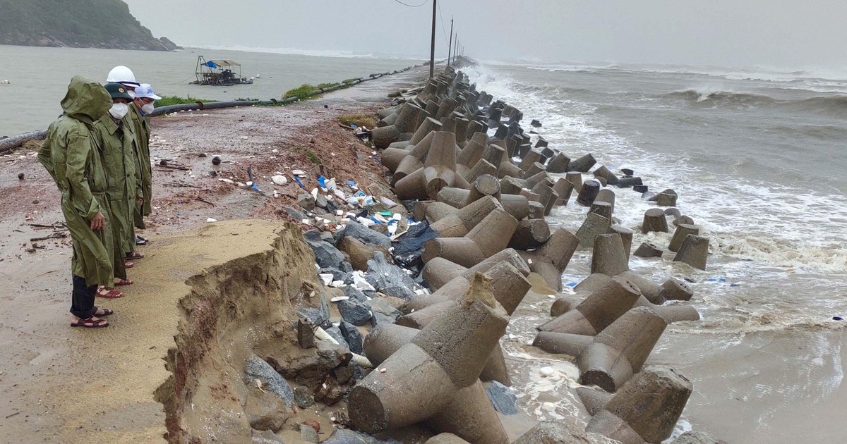 Bão số 9: Hơn 5.212 ha lúa mới gieo sạ ở Bình Định bị ngập