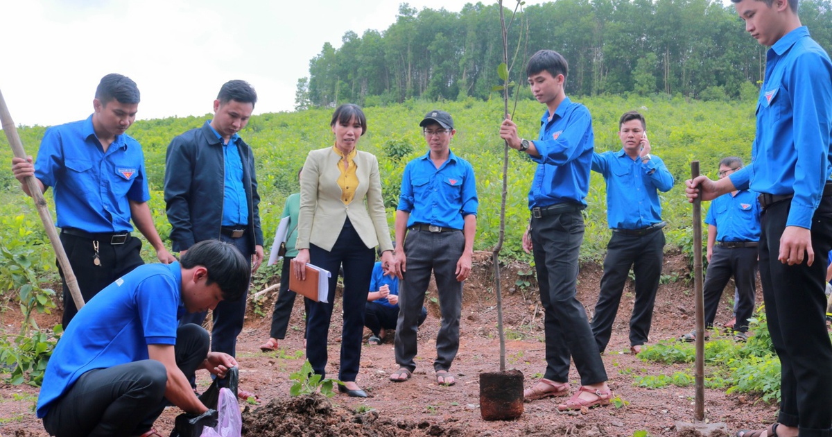 Chuyển giao kỹ thuật trồng cây ăn quả theo hướng hữu cơ