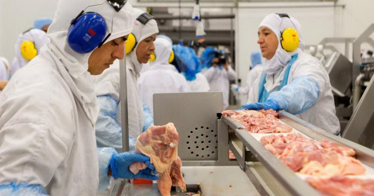 EU kêu gọi Brazil tự nguyện ngừng xuất khẩu thịt