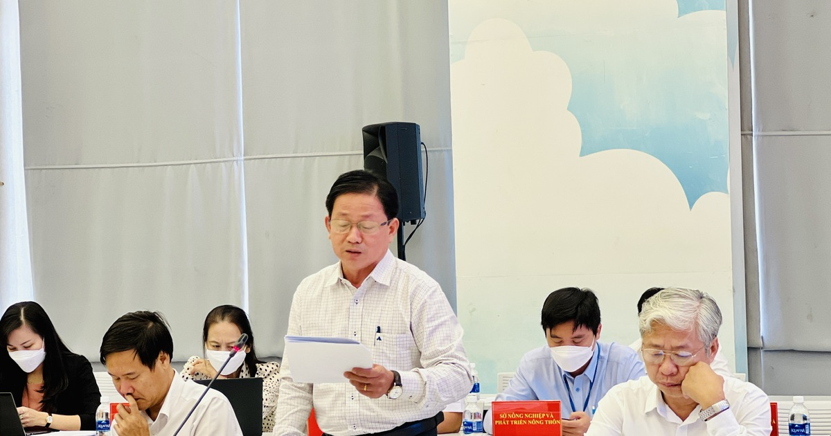 Bình Dương: Báo động thiếu giáo viên trầm trọng cấp tiểu học, trung học cơ sở