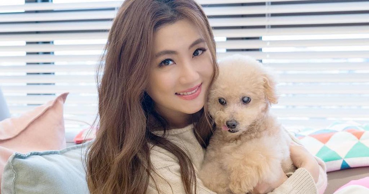 Ca sĩ hàng đầu Đài Loan từng muốn để lại tài sản cho cún cưng