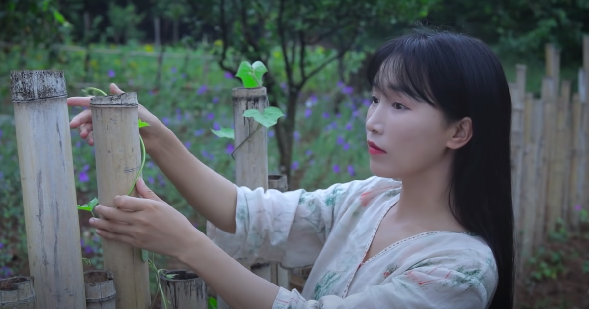 ‘Tiên nữ đồng quê’ Lý Tử Thất thông báo ngừng đăng video mới lên mạng