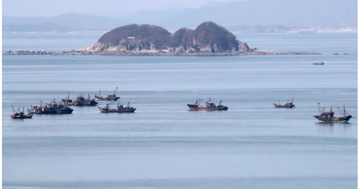 Hàng trăm tàu cá Trung Quốc đang tận diệt nguồn hải sản ở vùng biển Hàn Quốc?