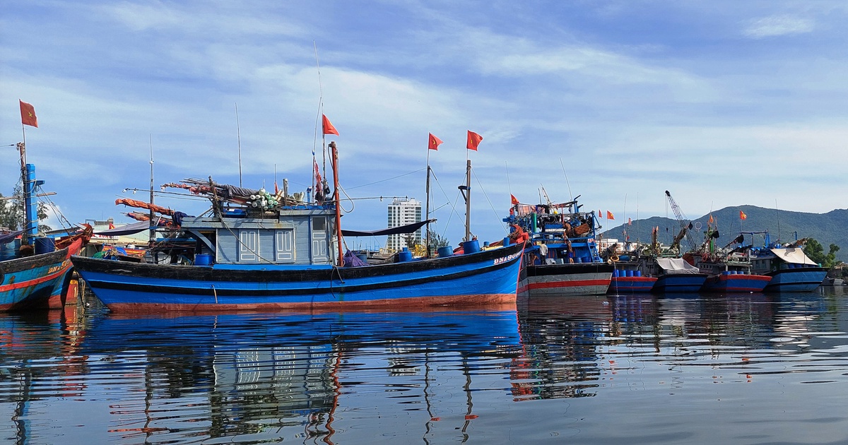 Bão số 5: Không máy móc trong chống dịch, tạo điều kiện cho dân sửa nhà
