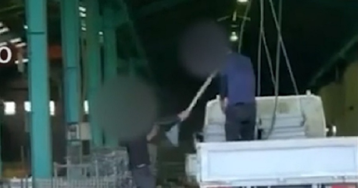 Bộ trưởng Tư pháp Nhật chỉ đạo điều tra vụ thực tập sinh Việt bị hành hung