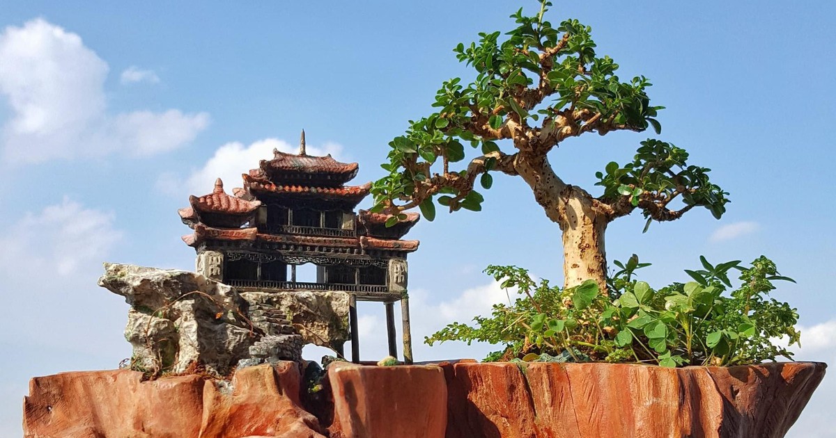 Kiếm thêm tiền triệu nhờ làm tiểu cảnh bonsai