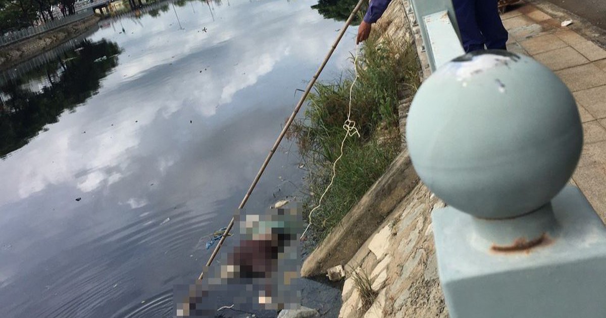 TP.HCM: Phát hiện thi thể người phụ nữ nổi trên kênh Lò Gốm