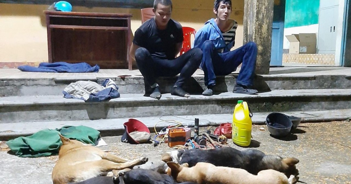 Mang súng điện tự chế, bình xịt hơi cay đi trộm chó