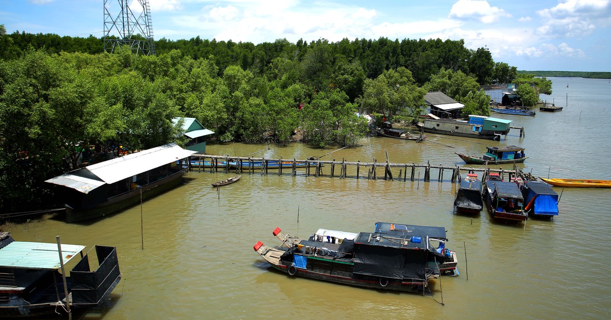 Tết Dương lịch: Người Sài Gòn đi tour xe đạp, xích lô... ngắm thành phố