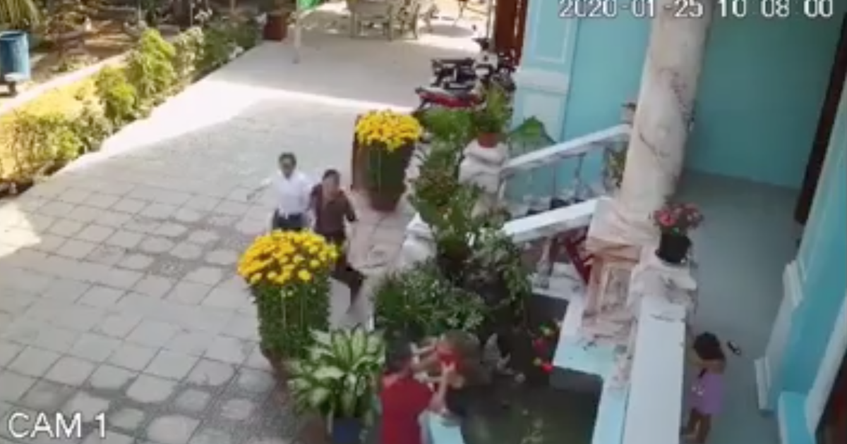 [CLIP] Ngày Tết, em bé suýt chết đuối vì ngã nhào xuống bể tiểu cảnh trước nhà